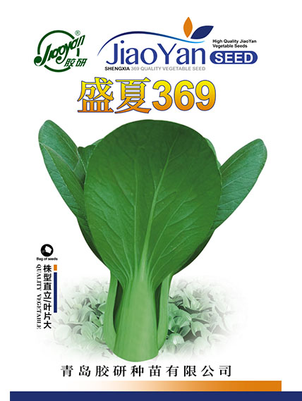 盛夏369——油菜